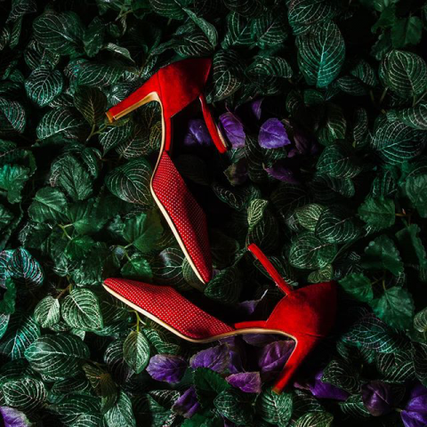 Still Life Каталожная съемка