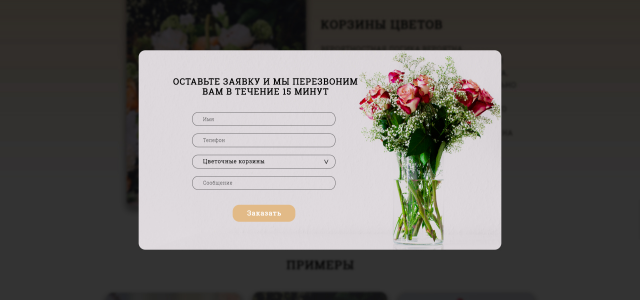 Всплывающее окно-заявка