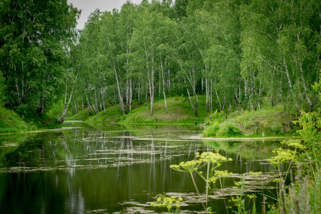 Работа 3460111