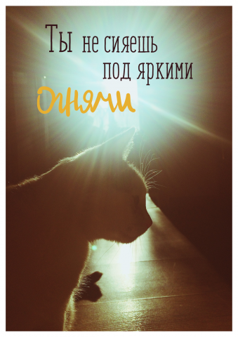 Работа 3460357