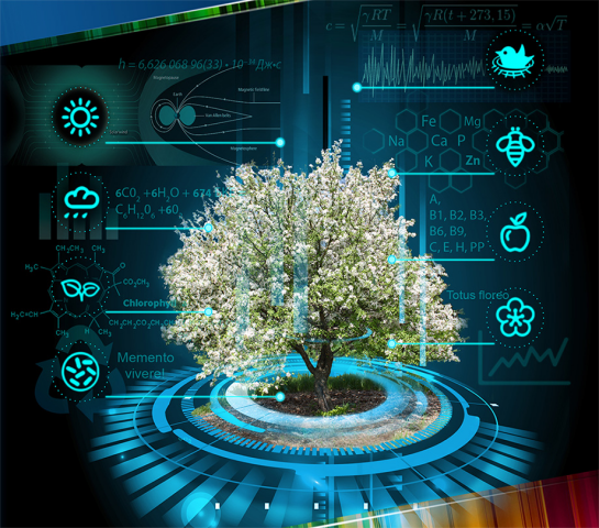 Коллаж с пиктограммами