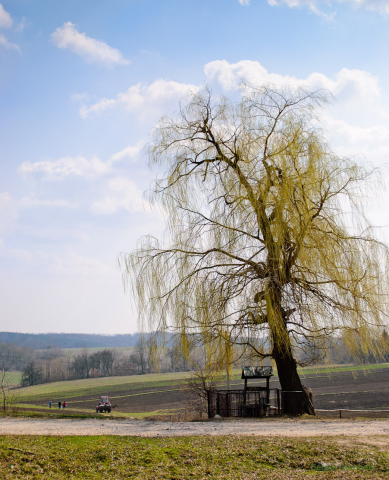 с. Булаи Старый Колодец