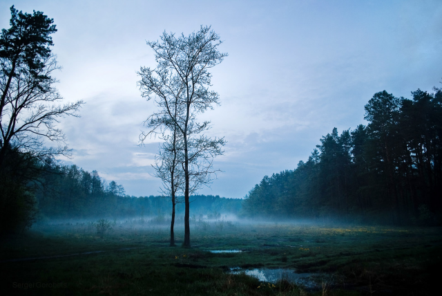 Крадётся вечерний туман
