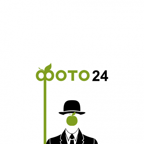 Работа 3225023