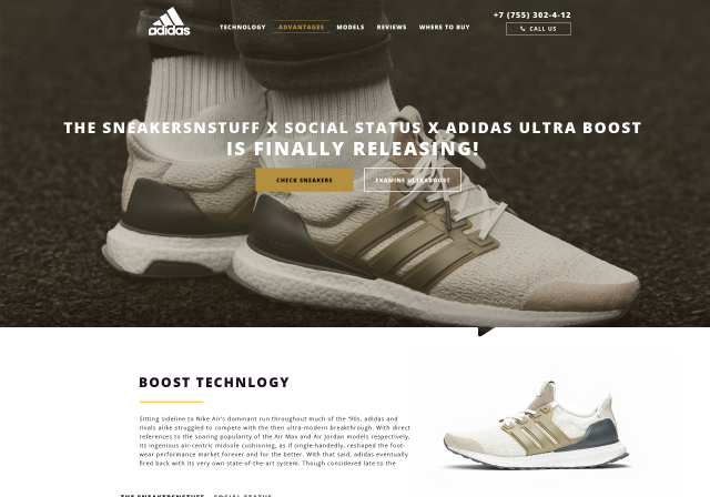 Adidas UltraboostxSLSxSocial Status