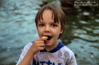 Работа 2923113