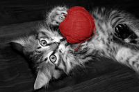 Работа 2923110