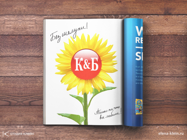 Branding дизайн-макет – Без Шелухи