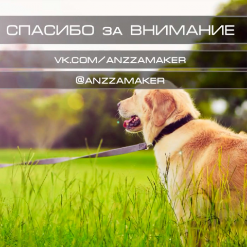 Нижняя треть