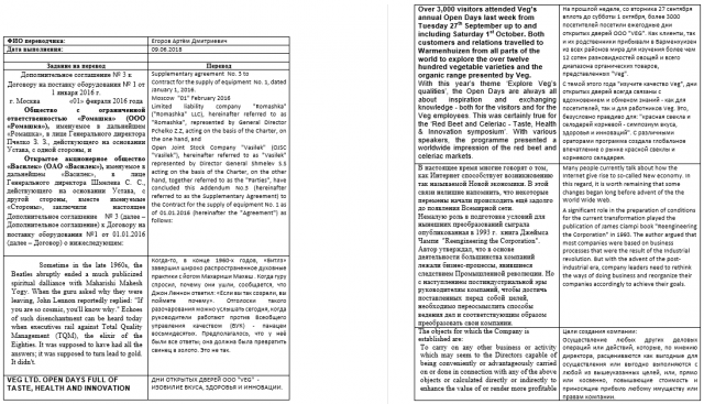 Перевод документов на различную тематику