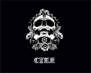 Работа 2426326