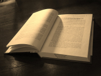 Перевод художественной книги EN-RU