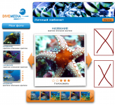 Divefolio design