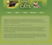 Дизайн и верстка "WorldCat"