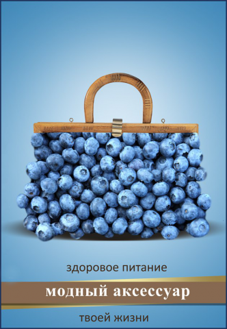 плакат