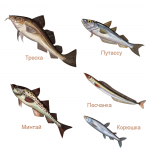 Рыбы для упаковки морепродуктов
