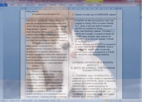 Перевод коммерческого договора