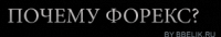 Продающая страница для ForEx