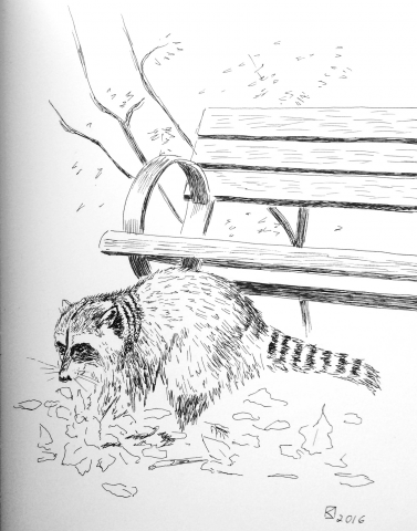 Sketch 1