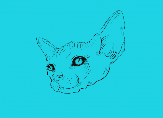 Кот (лайн-арт)