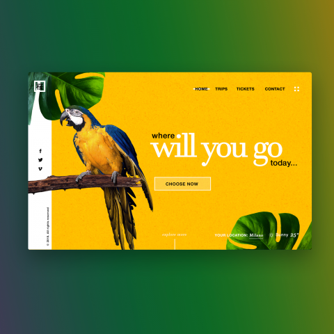 Travel