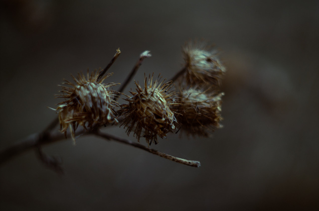 Работа 3440749