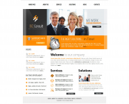 Biz consult