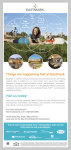 html newsletter