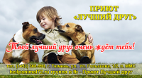 Работа 2510175