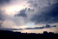 Работа 2467201