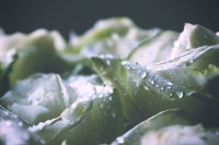 Работа 2467247