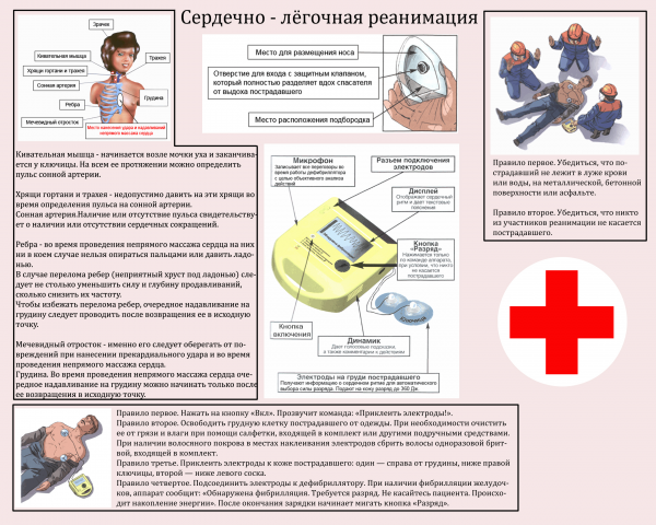 Работа 3434816