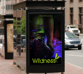 Дизайн рекламы для бренда молодежной одежды Wildness