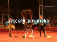 Видеореклама для регионального ТВ