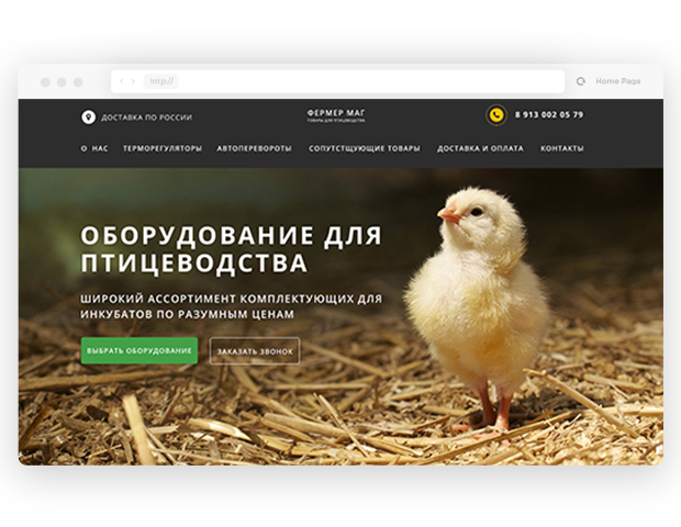 Дизайн интернет-магазина товаров для птицеводства