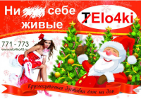 Работа 1549355