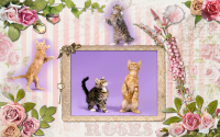 Scrapbook/photo album page