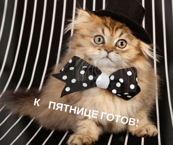 Пост в Инстаграм