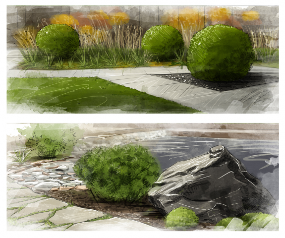 Landscape Illustration