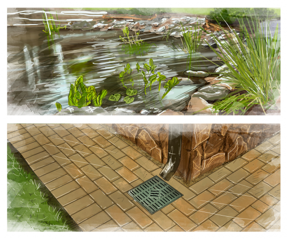 Landscape Illustration