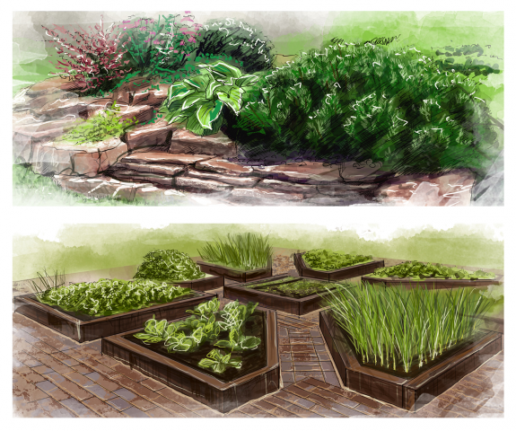 Lanscape Illustration