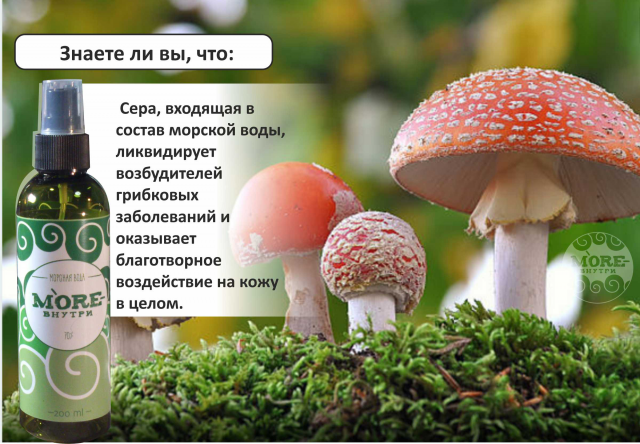 МореВнутри7