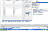 Редактирование англо-русского он-лайн словаря
