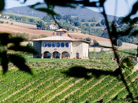 Italian-Rus. REAL ESTATE and WINE-MAKING