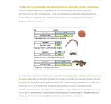 ENG-RUS. BIOLOGY. Resveratrol.