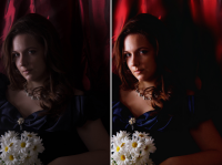 Ретушь2