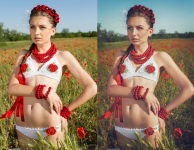 Работа 2235224