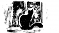 Just a cat