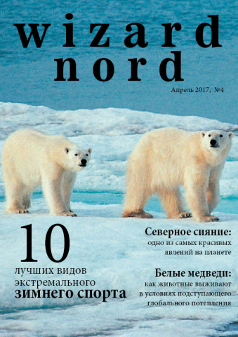 Журнал "Wizard Nord". Обложка
