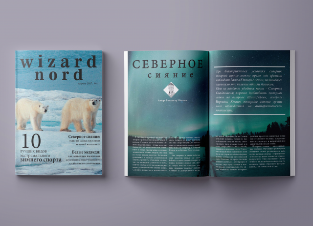 Журнал "Wizard Nord". Mockup